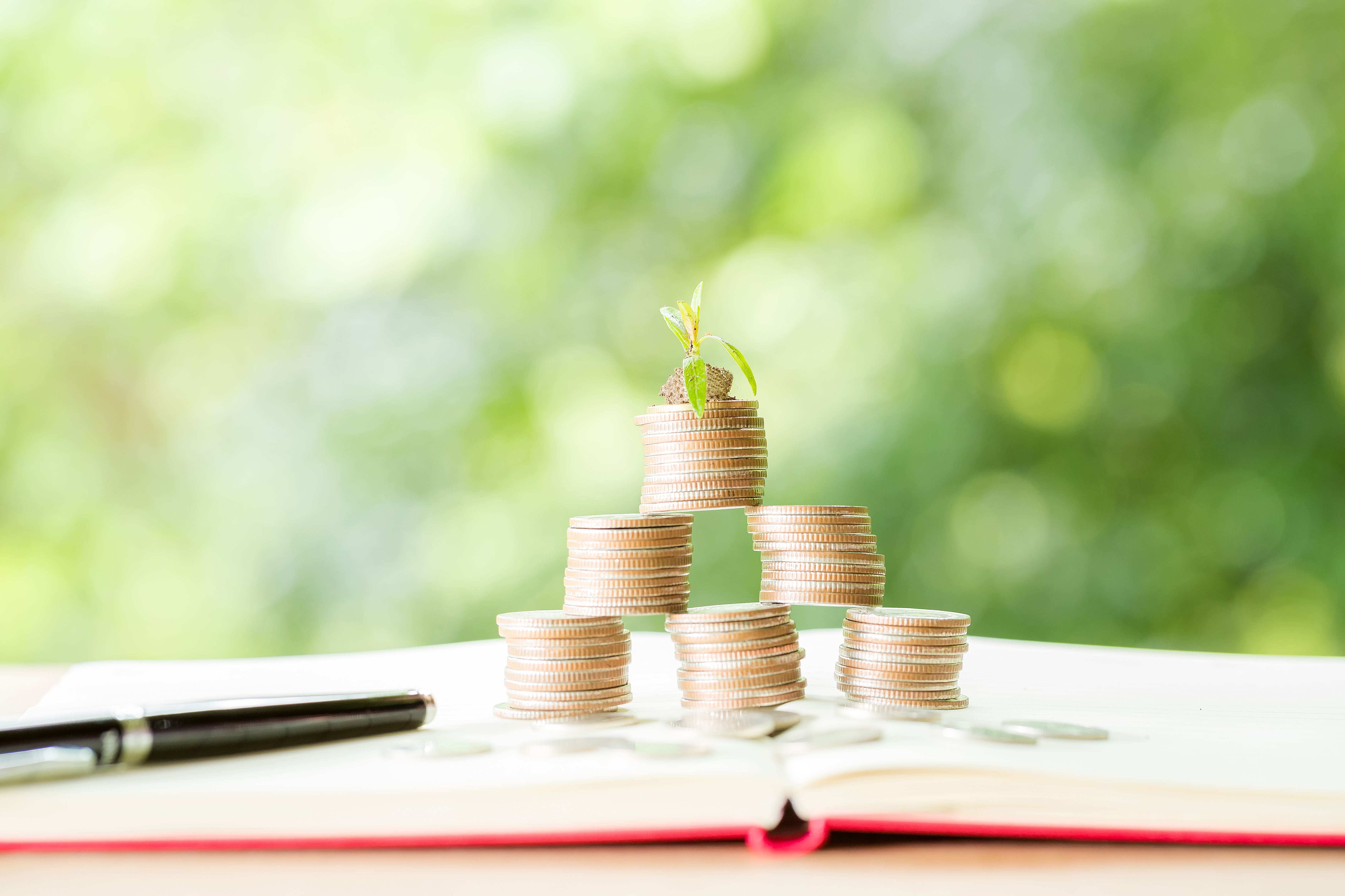 Pheim's long-term investment growth philosophy